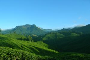 Munnar, Kerala